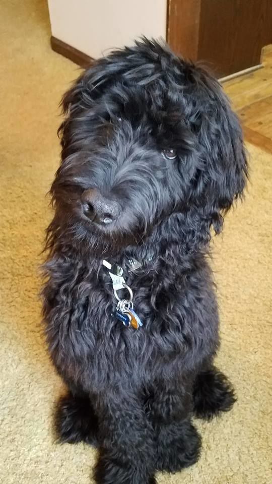 Murphy